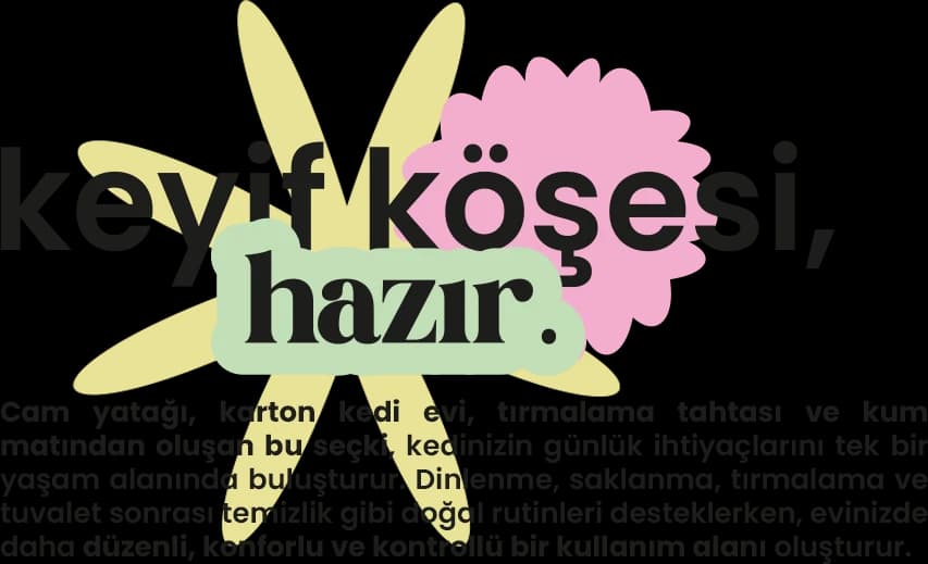 Keyif köşesi hazır: cam yatağı, karton kedi evi, tırmalama tahtası ve silikon kum matı
