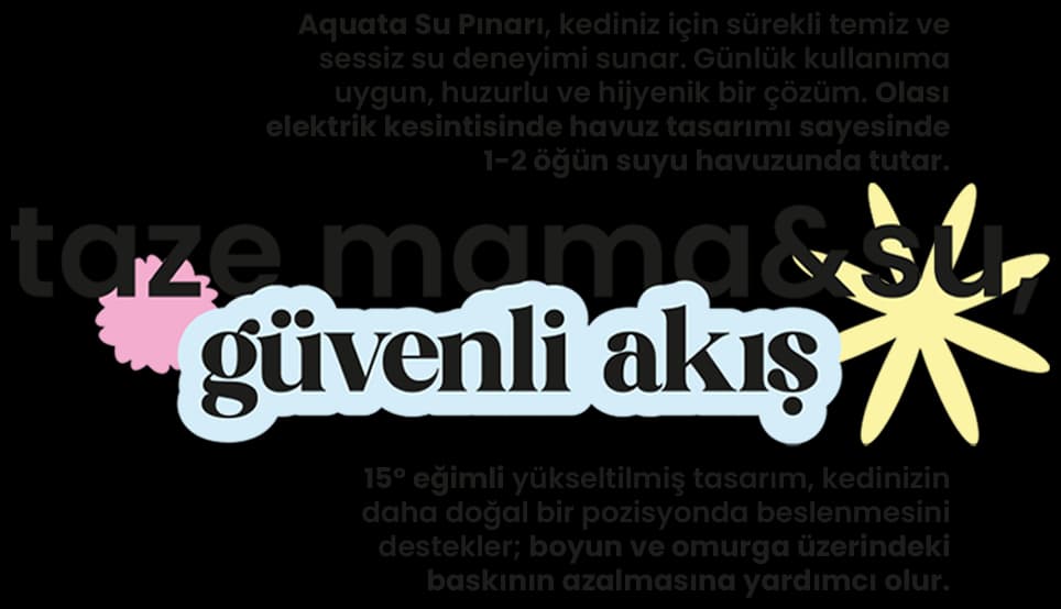 Taze mama & su, güvenli akış: AQUATA su pınarı ve 15° eğimli çift kase mama kabı